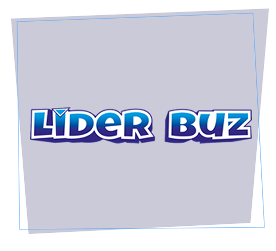 lider-buz-banner